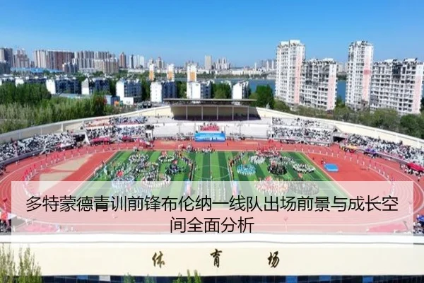 多特蒙德青训前锋布伦纳一线队出场前景与成长空间全面分析