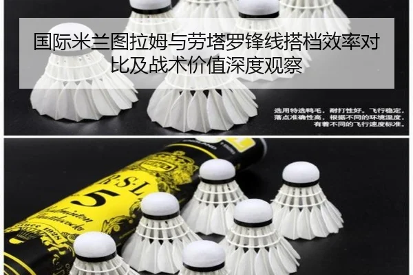 国际米兰图拉姆与劳塔罗锋线搭档效率对比及战术价值深度观察